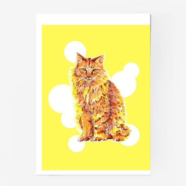 Постер «Рыжий кот»