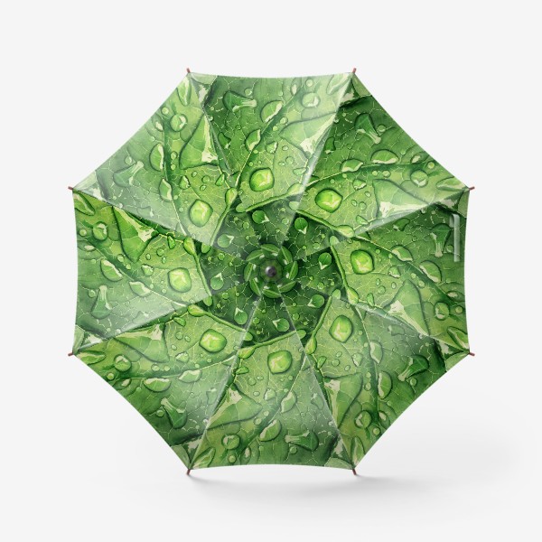 Зонт «Капли росы на зеленом листе»