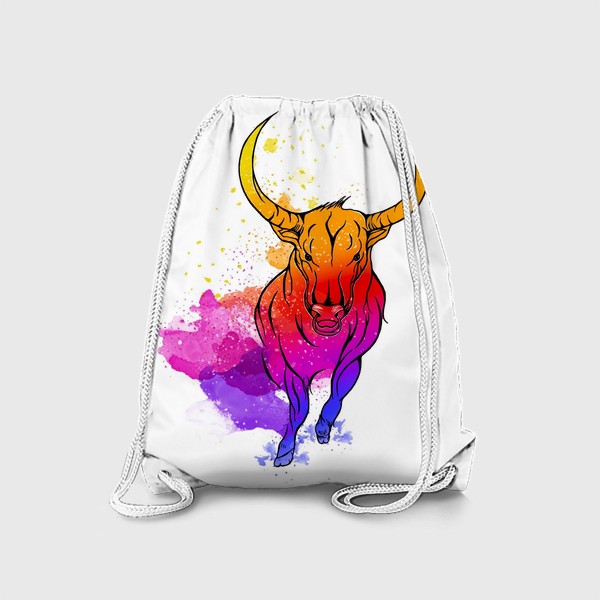 Рюкзак «color bull»