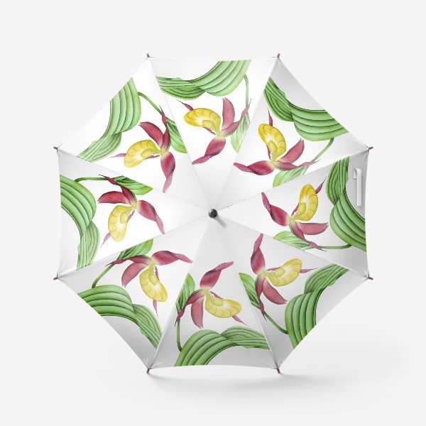 Зонт «Венерин башмачок»