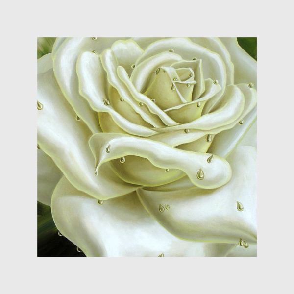 Шторы «Белая роза»