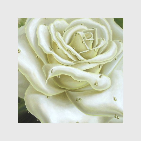 Скатерть «Белая роза»