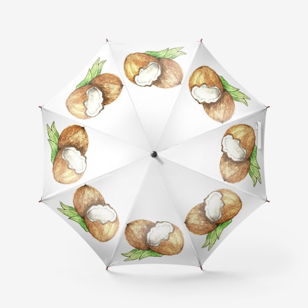 Зонт «Кокос обыкновенный. »