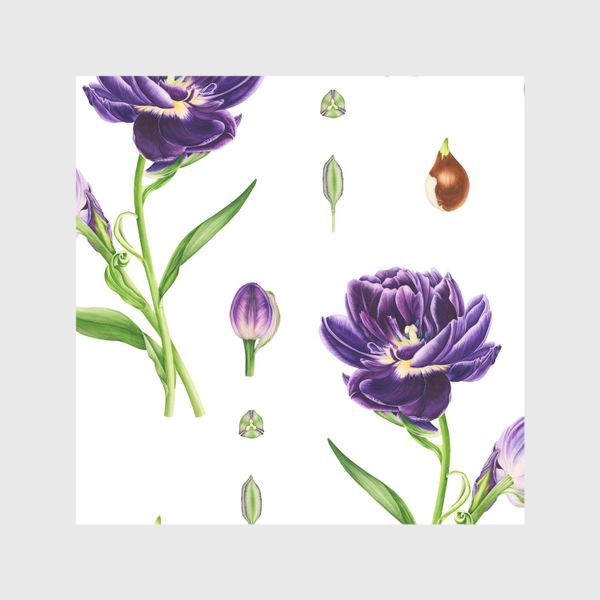 Шторы «Ботанический принт с тюльпанами, семенами и луковицами тюльпанов»