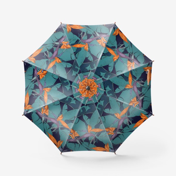Зонт «стреллиция»