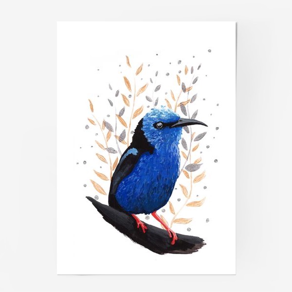 Постер «Птица бирюзовая танагра-медосос»