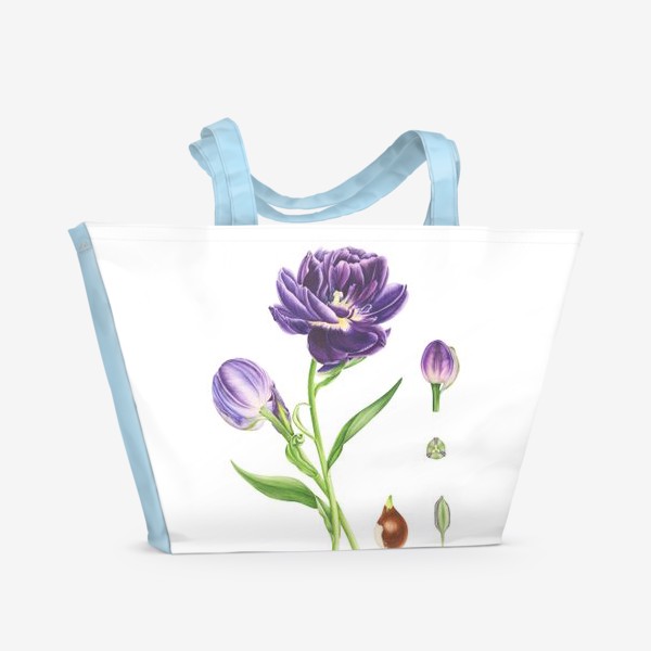 Пляжная сумка &laquo;Тюльпан. Ботаническая иллюстрация.&raquo;