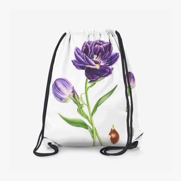 Рюкзак «Тюльпан. Ботаническая иллюстрация.»