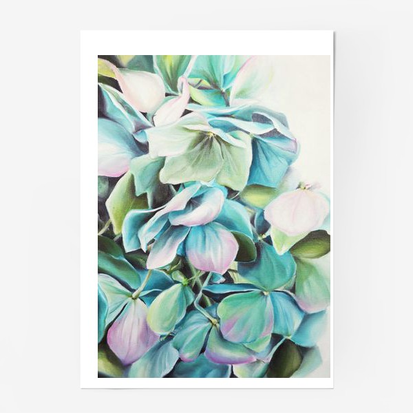 Постер «Цветы Гортензия Масло»