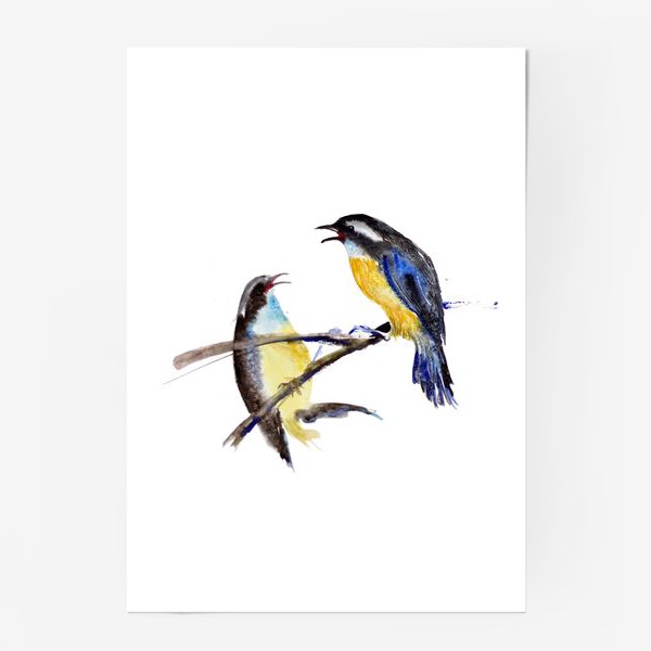 Постер «Акварельное изображение двух птиц, сидящих на ветке на белом фоне»