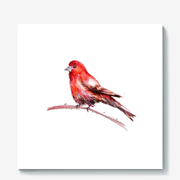 Холст &laquo;Акварельное изображение красной птицы, сидящей на ветке на белом фоне&raquo;