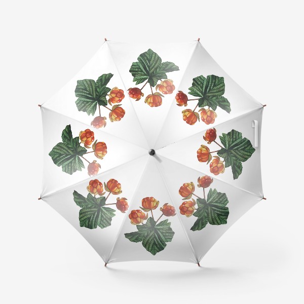 Зонт «Северная ягода - Морошка»