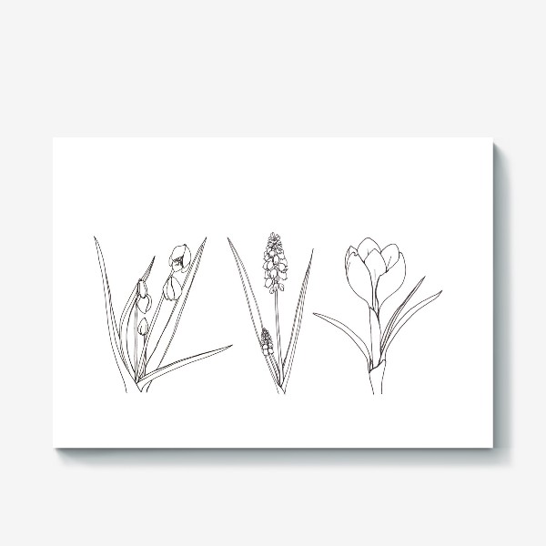 Холст «Графика черно-белая на белом фоне, весенние цветы крокус, подснежник, мускари (гиацинт), природа, растения»
