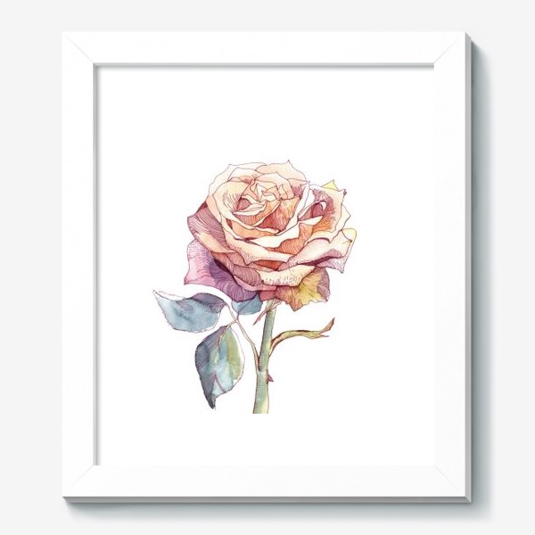 Картина «Персиковая роза»