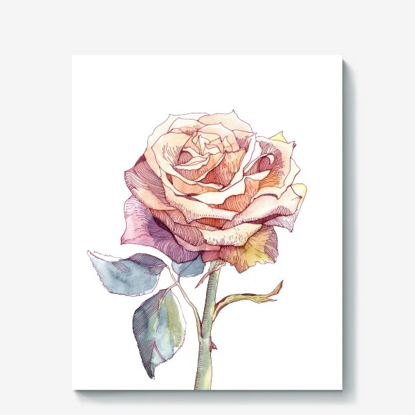 Холст «Персиковая роза»