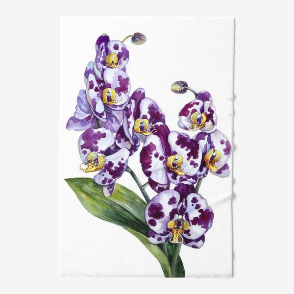 Полотенце «Пятнистая орхидея»