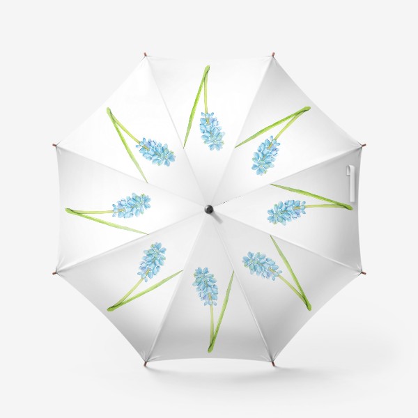 Зонт &laquo;Ботаническая акварельная иллюстрация, весенний голубой цветок, мускари (мышиный гиацинт)&raquo;