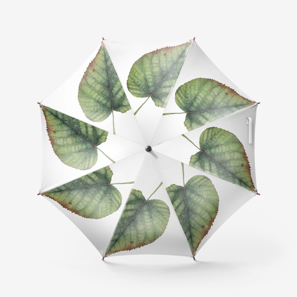 Зонт «Летний лист липы»