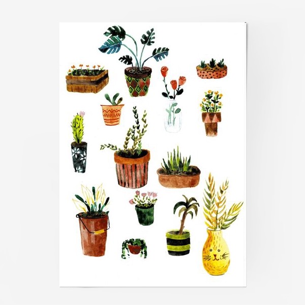 Постер «Комнатные растения»