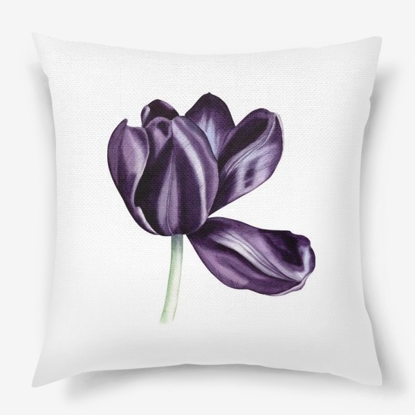 Подушка «Ботаническая иллюстрация с акварельным тюльпаном»