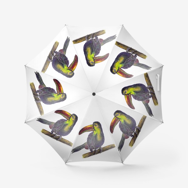 Зонт «Экзотическая птица. Тукан»