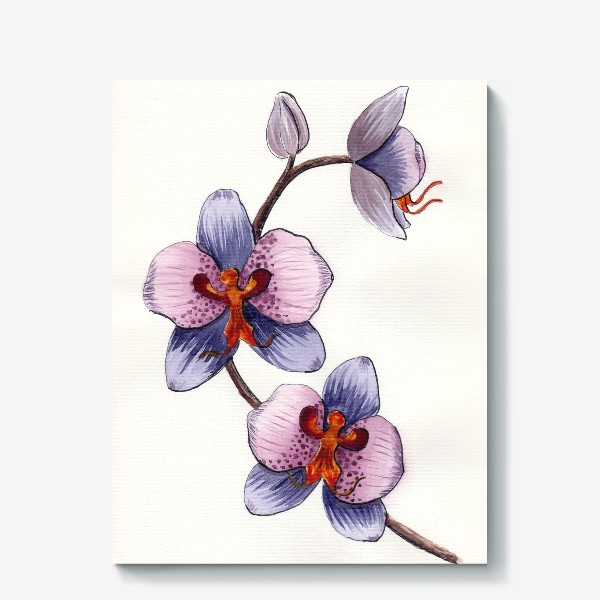 Холст &laquo;Орхидея. Фаленопсис .&raquo;