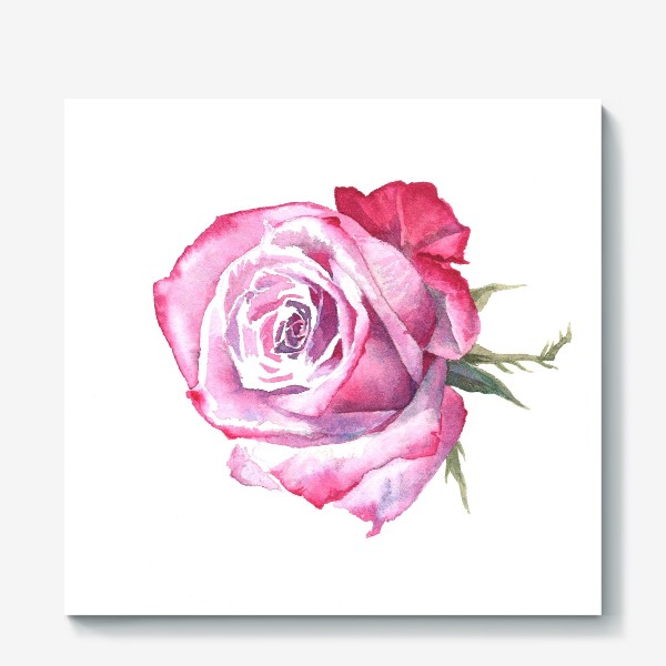 Холст «Цветок роза акварельная»