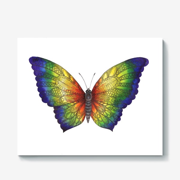 Холст «Радужная бабочка большая»