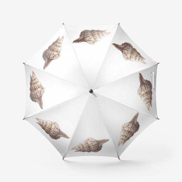 Зонт «море ракушка»