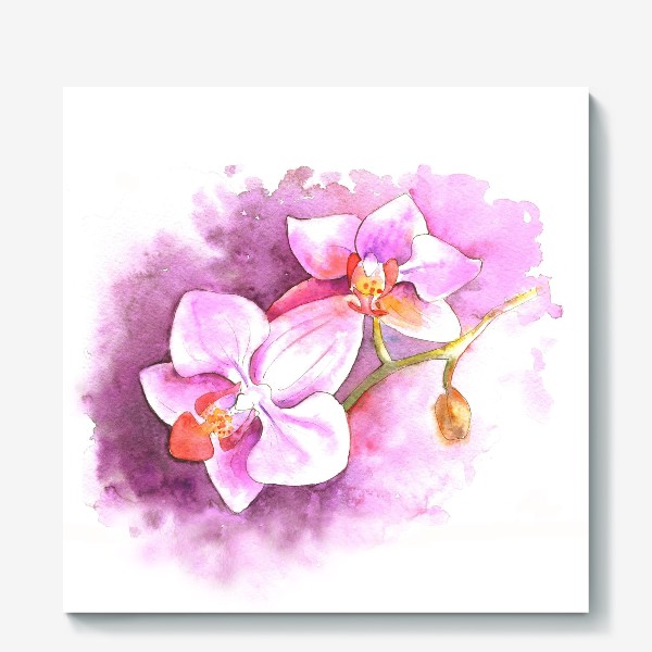 Холст «Тропические цветы орхидея»