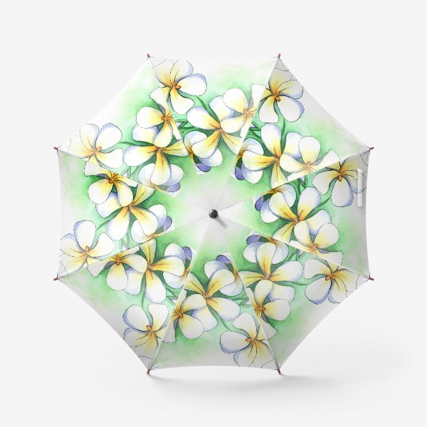 Зонт «Тропические цветы плюмерия»