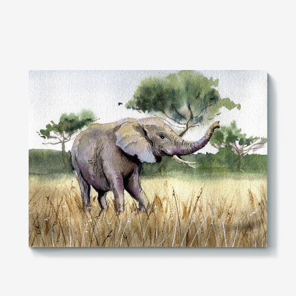 Холст «Слон»