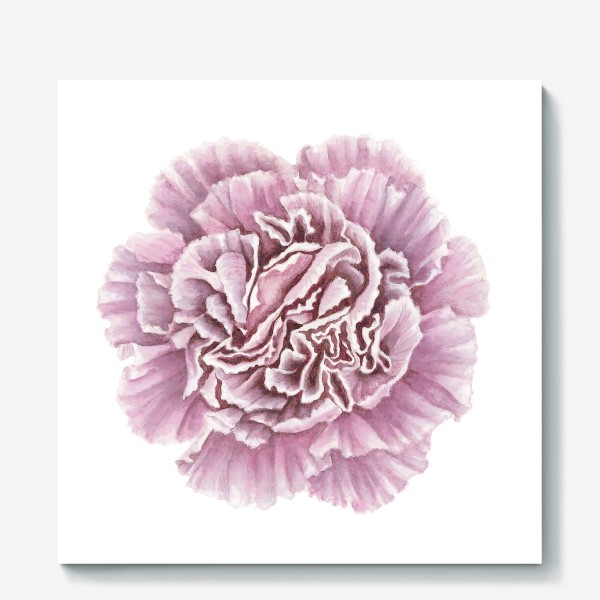 Холст «Розовая гвоздика цветок Carnation»