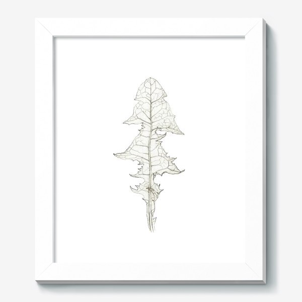 Картина «Лист одуванчика Dandelion Leaf»