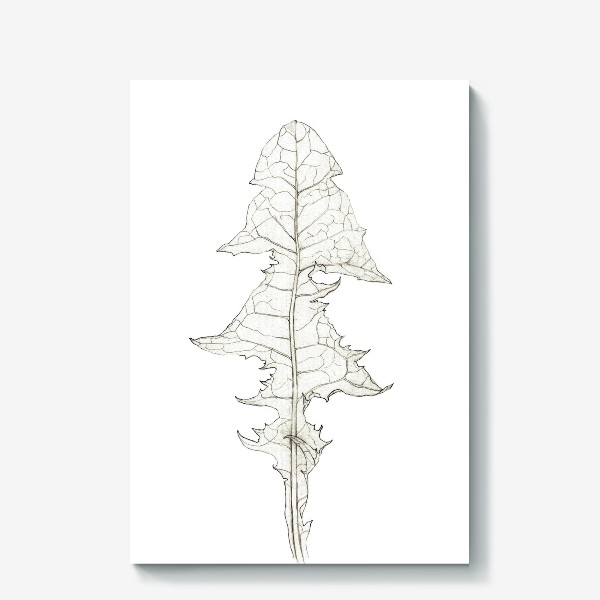 Холст «Лист одуванчика Dandelion Leaf»