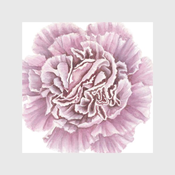 Скатерть «Розовая гвоздика цветок Carnation»