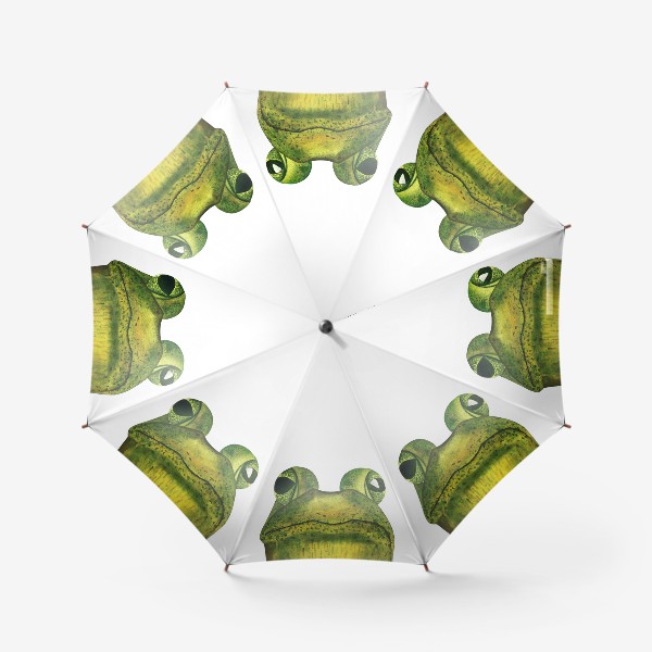 Зонт «Любопытная лягушка»