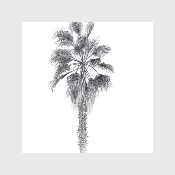 Скатерть «Пальма. Рисунок пальмы. Реализм. Графика.»