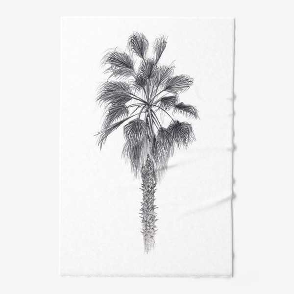 Полотенце «Пальма. Рисунок пальмы. Реализм. Графика.»