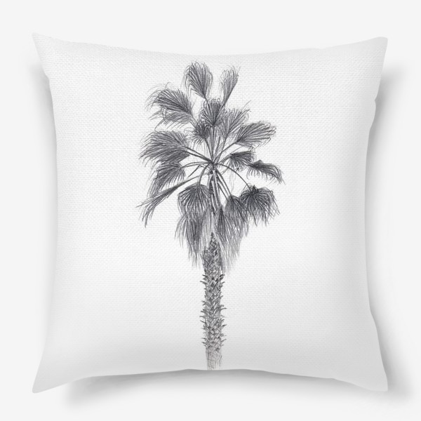 Подушка «Пальма. Рисунок пальмы. Реализм. Графика.»