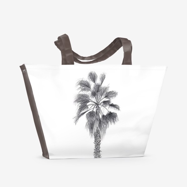 Пляжная сумка «Пальма. Рисунок пальмы. Реализм. Графика.»