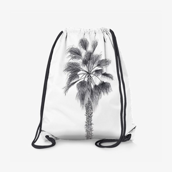 Рюкзак «Пальма. Рисунок пальмы. Реализм. Графика.»