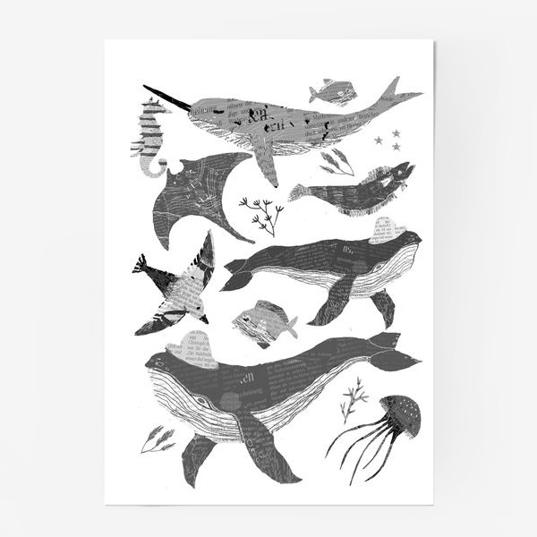Постер «морские животные»