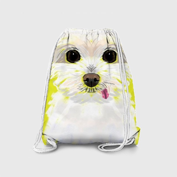 Рюкзак «Белая собачка мальтийская болонка»