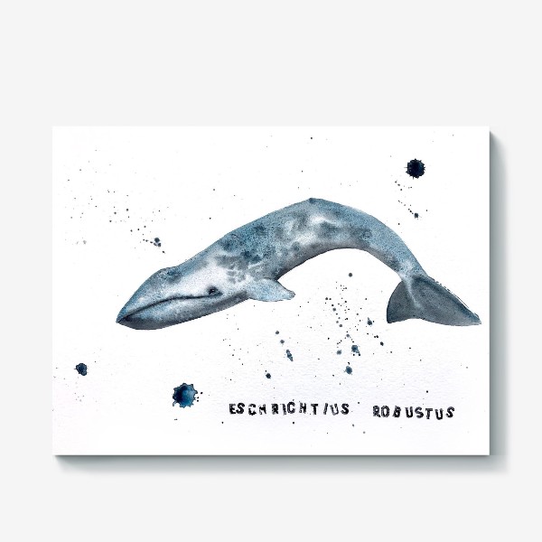 Холст «серый кит»