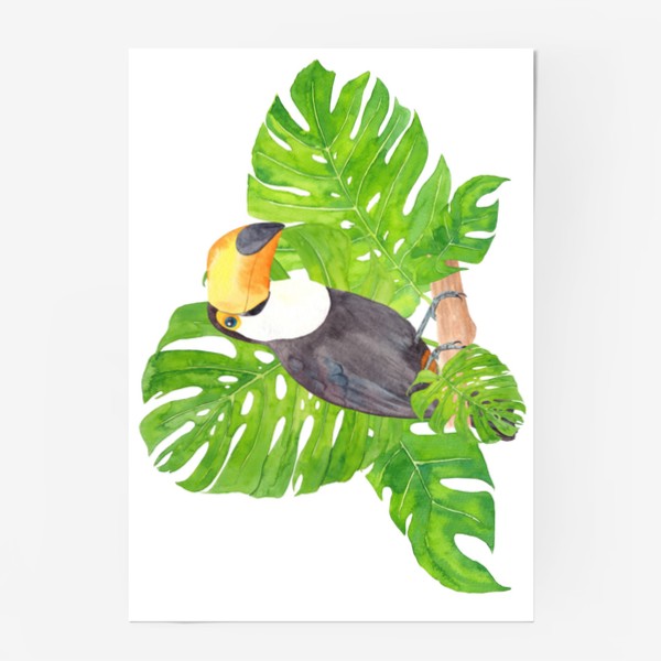 Постер «Птица тукан среди листьев монстеры. Тропический акварельный летний принт с попугаем на белом фоне»