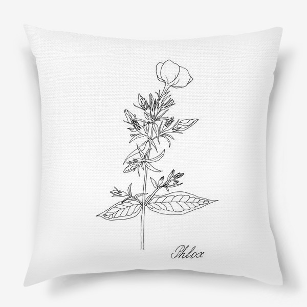 Подушка «Цветок флокса, черно-белая летняя ботаническая иллюстрация, графика, линейный рисунок на белом фоне»