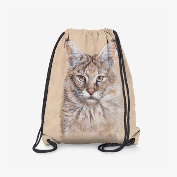Рюкзак «Камышовый кот»