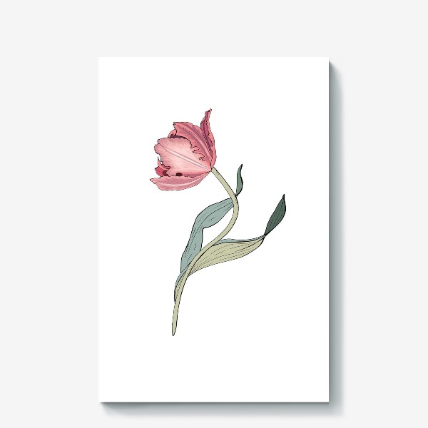 Холст «красивый розовый тюльпан»