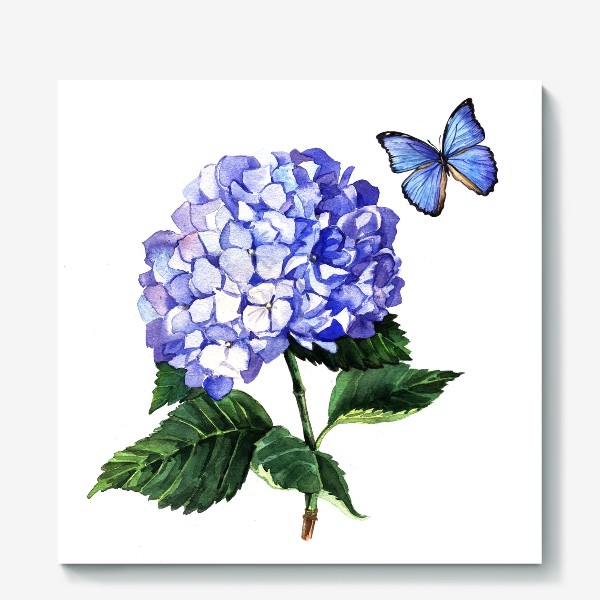 Холст «Голубая гортензия и бабочка»